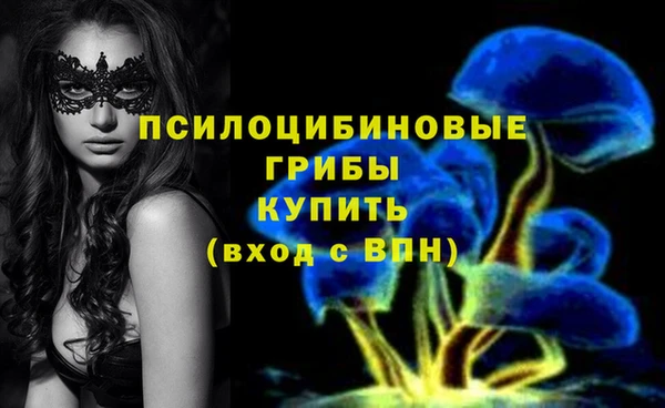 а пвп мука Верея
