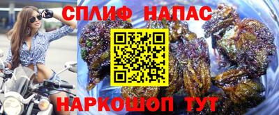 МДПВ Гусь-Хрустальный