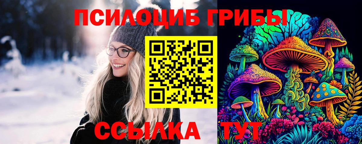 Псилоцибиновые грибы Magic Shrooms  Вход с VPN  Славянск-на-Кубани 