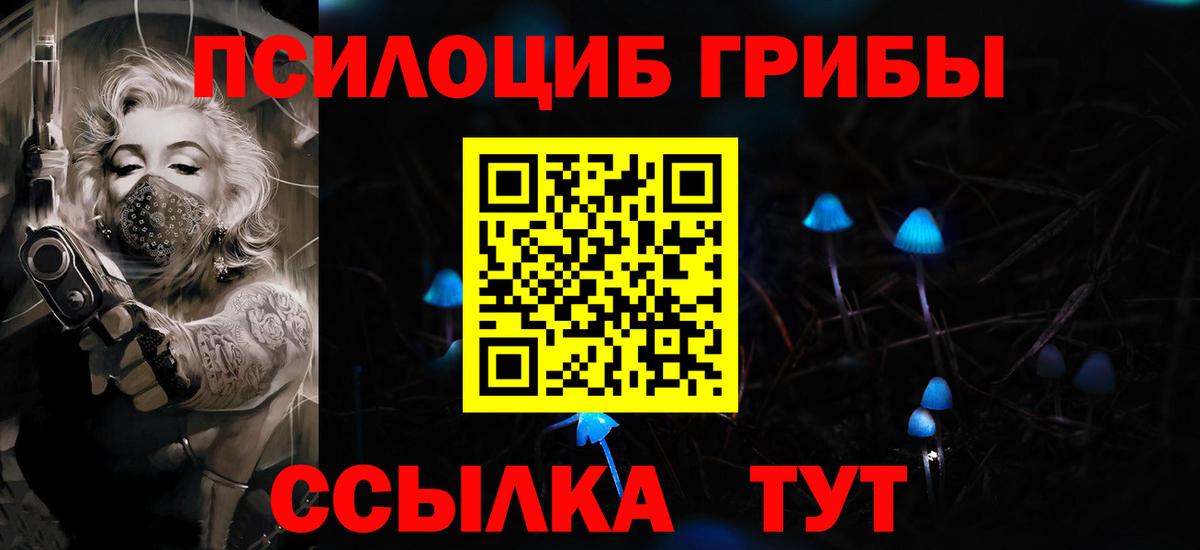 Галлюциногенные грибы Psilocybe Славянск-на-Кубани